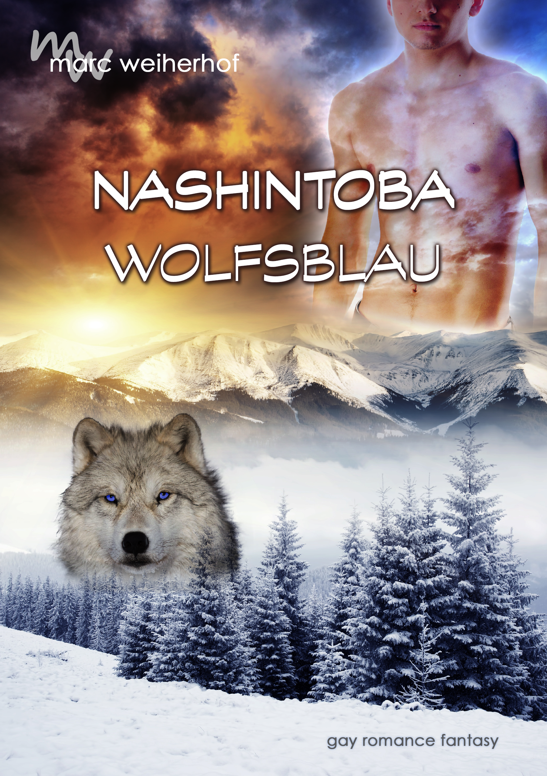 Nashintoba-Wolfsblau-Cover